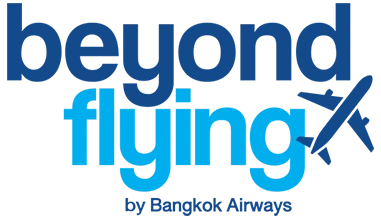 logo-beyondflying